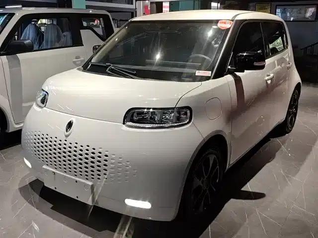 ORA White Cat 2020 Model 305km Luxury