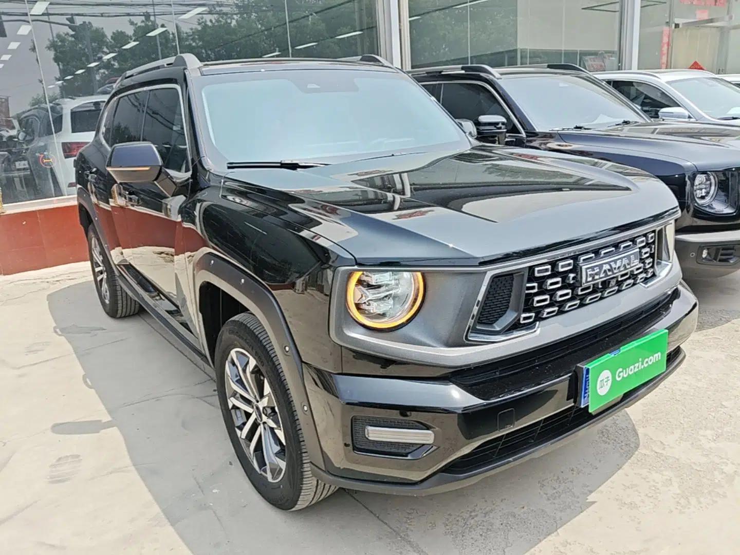 Haval H Dog 2023 2.0T Two-Wheel Drive Chaoye Version Plus — миниатюра 3