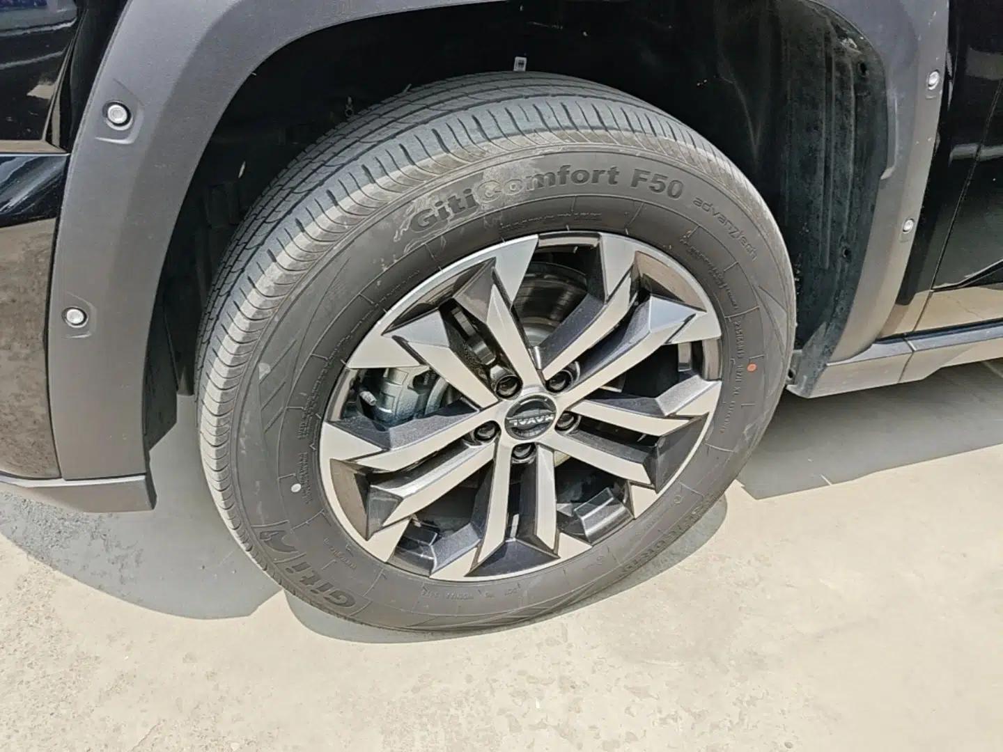 Haval H Dog 2023 2.0T Two-Wheel Drive Chaoye Version Plus — миниатюра 8