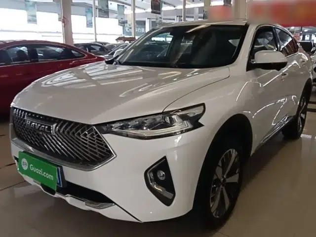 Haval F7x 2021 2.0T Two-Wheel Drive Intelligent Technology Edition