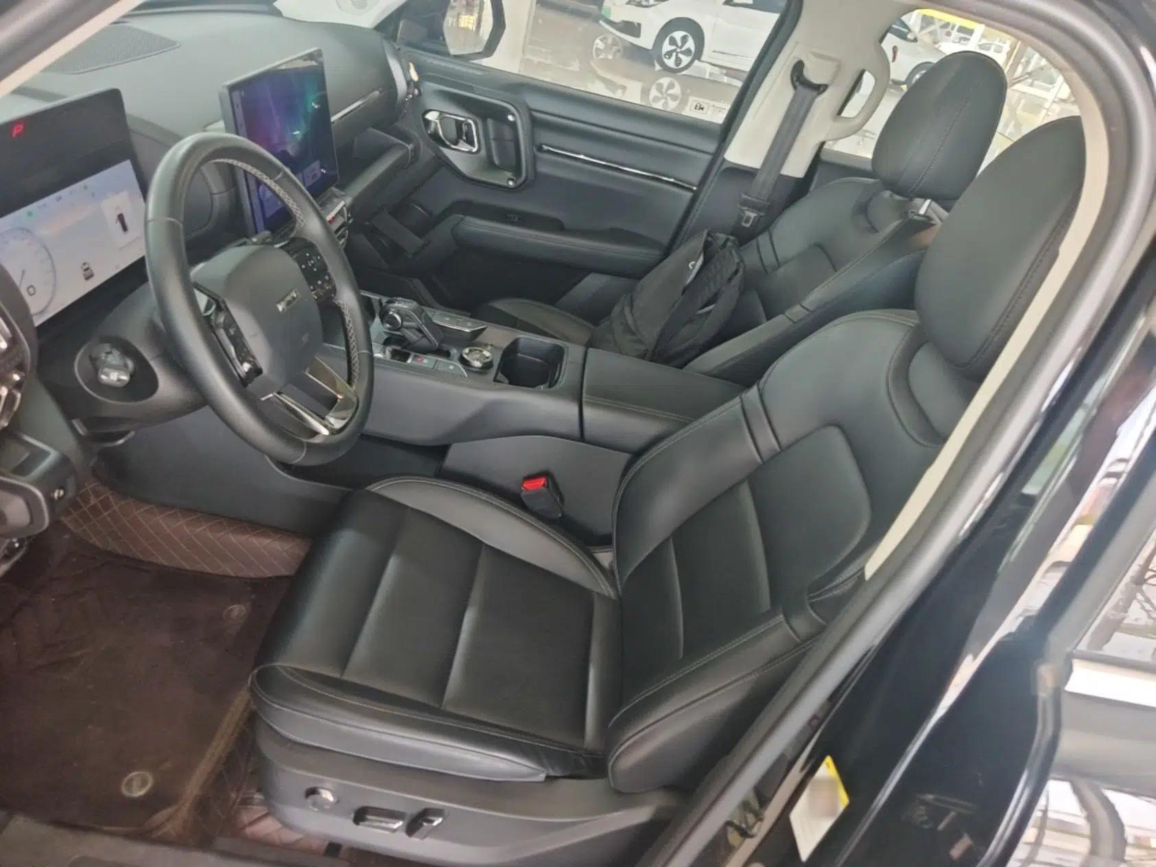 Haval H Dog New Energy 2023 DHT-PHEV 105km Trend Electric Edition — миниатюра 18