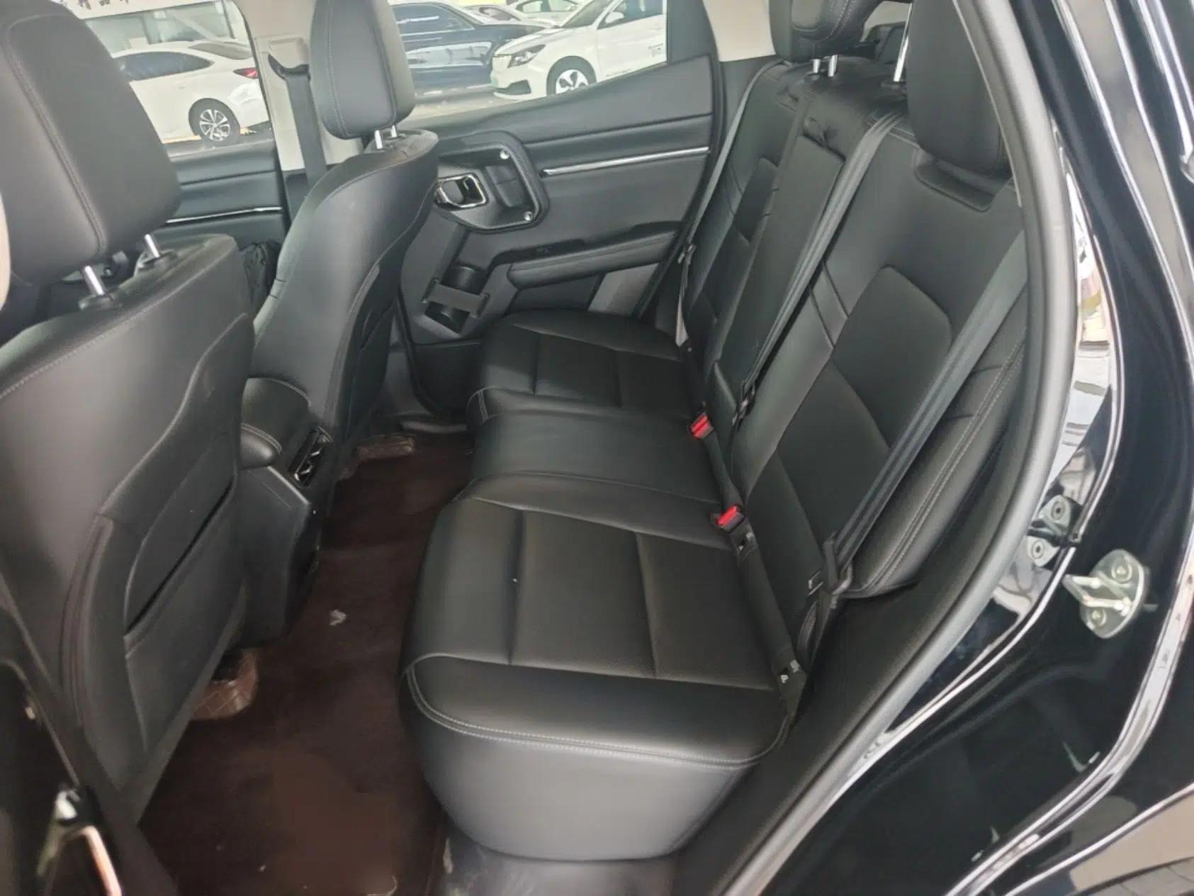Haval H Dog New Energy 2023 DHT-PHEV 105km Trend Electric Edition — миниатюра 20