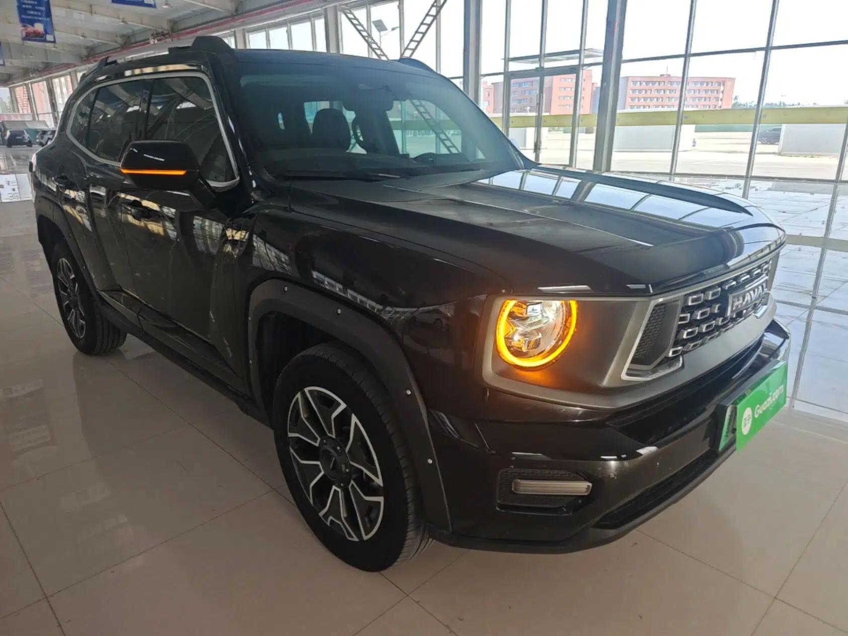 Haval H Dog New Energy 2023 DHT-PHEV 105km Trend Electric Edition — миниатюра 3