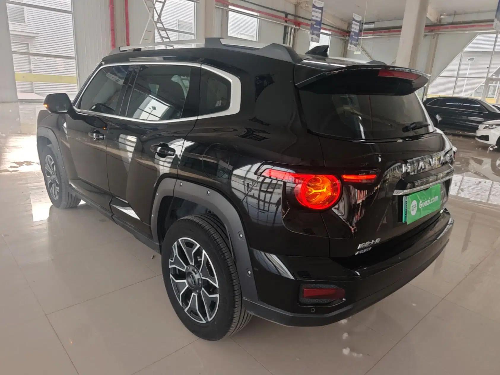Haval H Dog New Energy 2023 DHT-PHEV 105km Trend Electric Edition — миниатюра 4