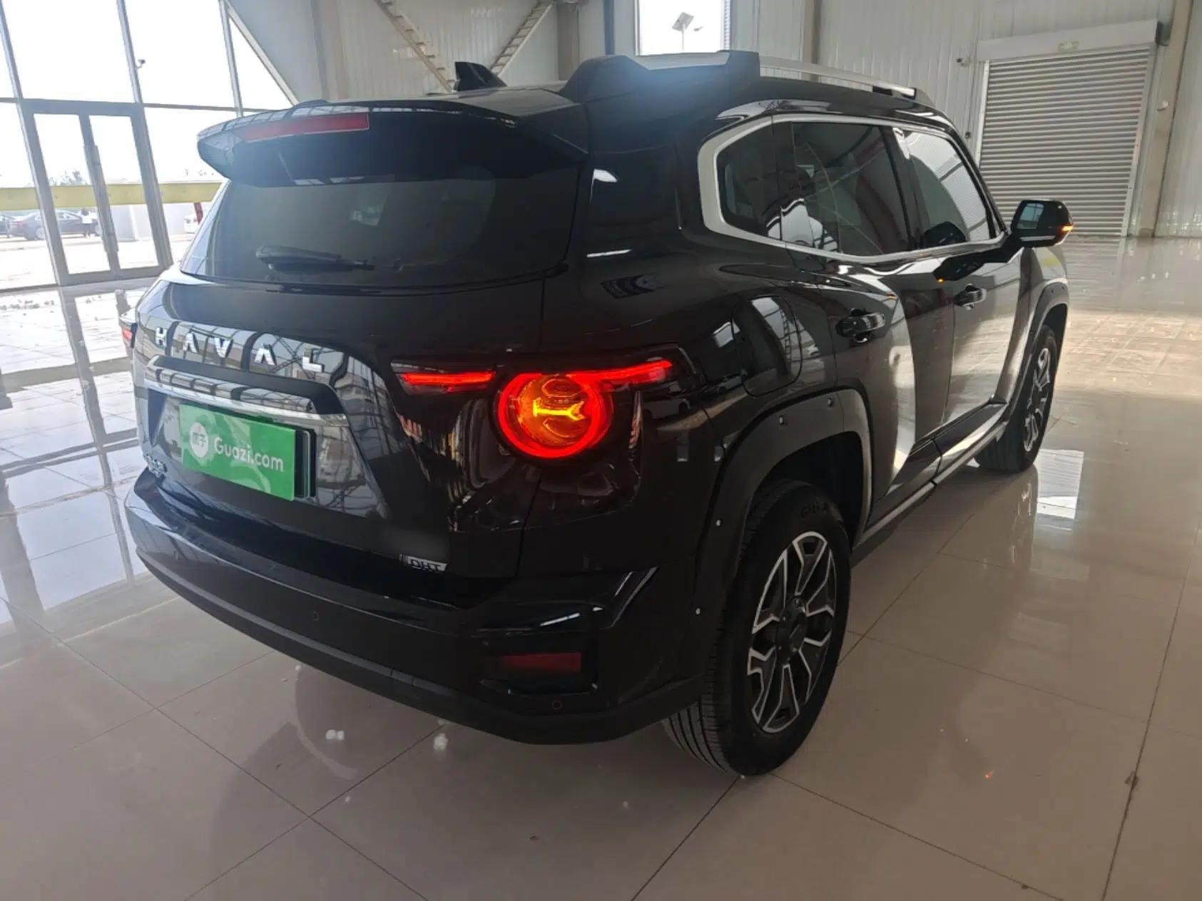 Haval H Dog New Energy 2023 DHT-PHEV 105km Trend Electric Edition — миниатюра 6