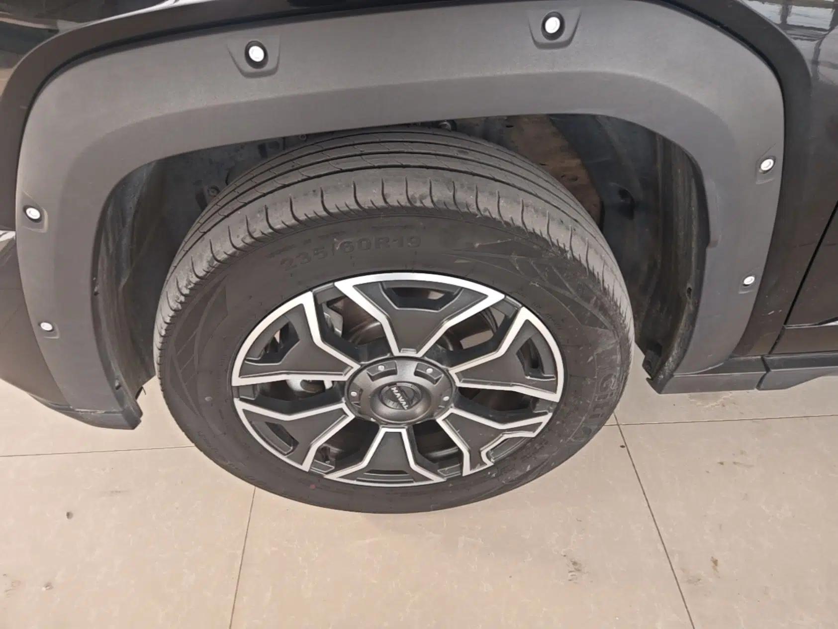 Haval H Dog New Energy 2023 DHT-PHEV 105km Trend Electric Edition — миниатюра 8