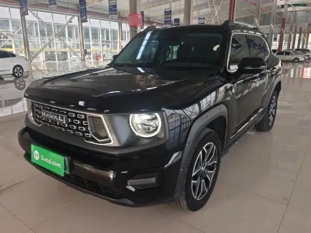 Haval H Dog New Energy 2023 DHT-PHEV 105km Trend Electric Edition