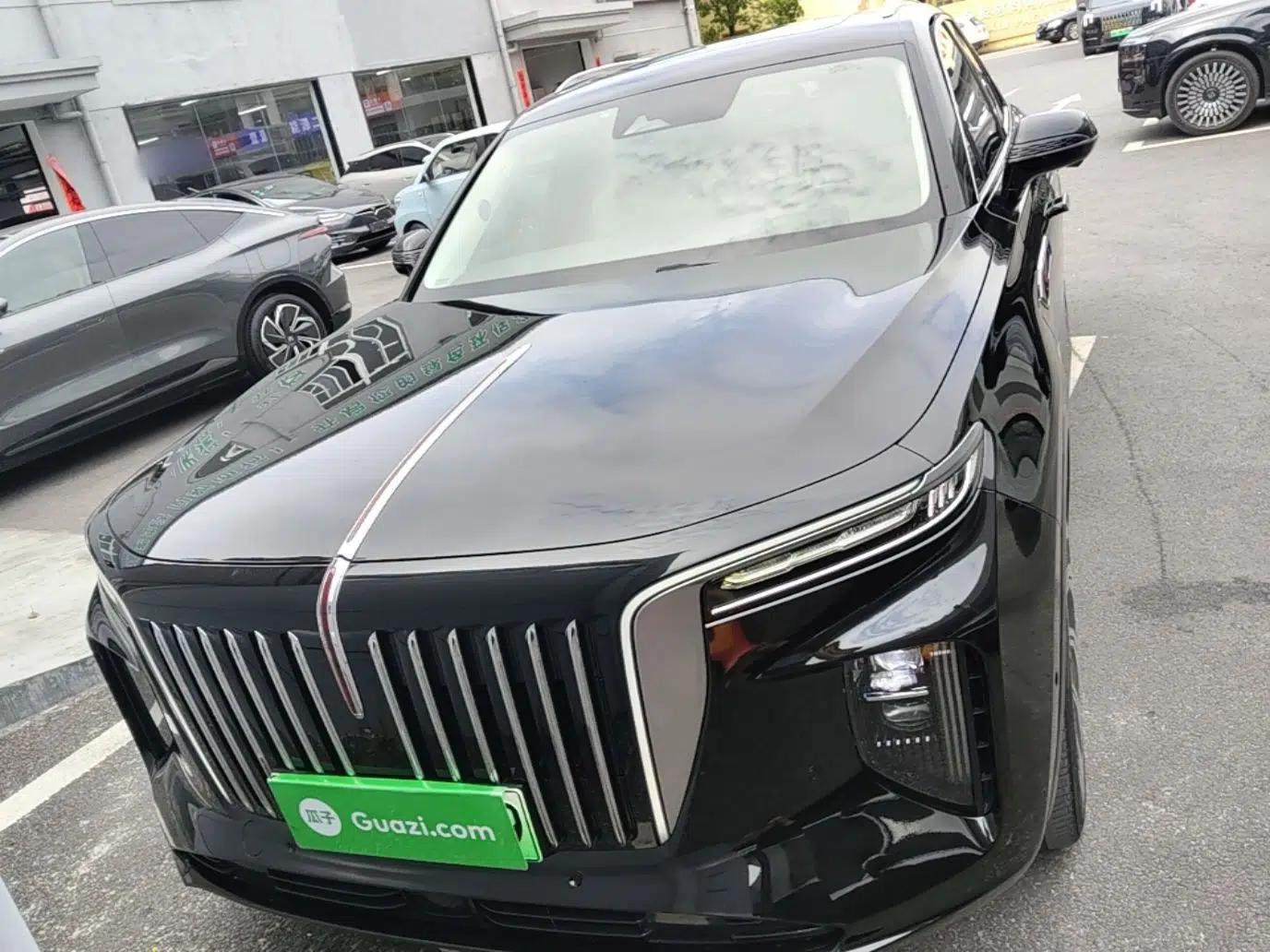 Hongqi E-HS9 2021 510 km Flagship Edition Four Seats — миниатюра 2