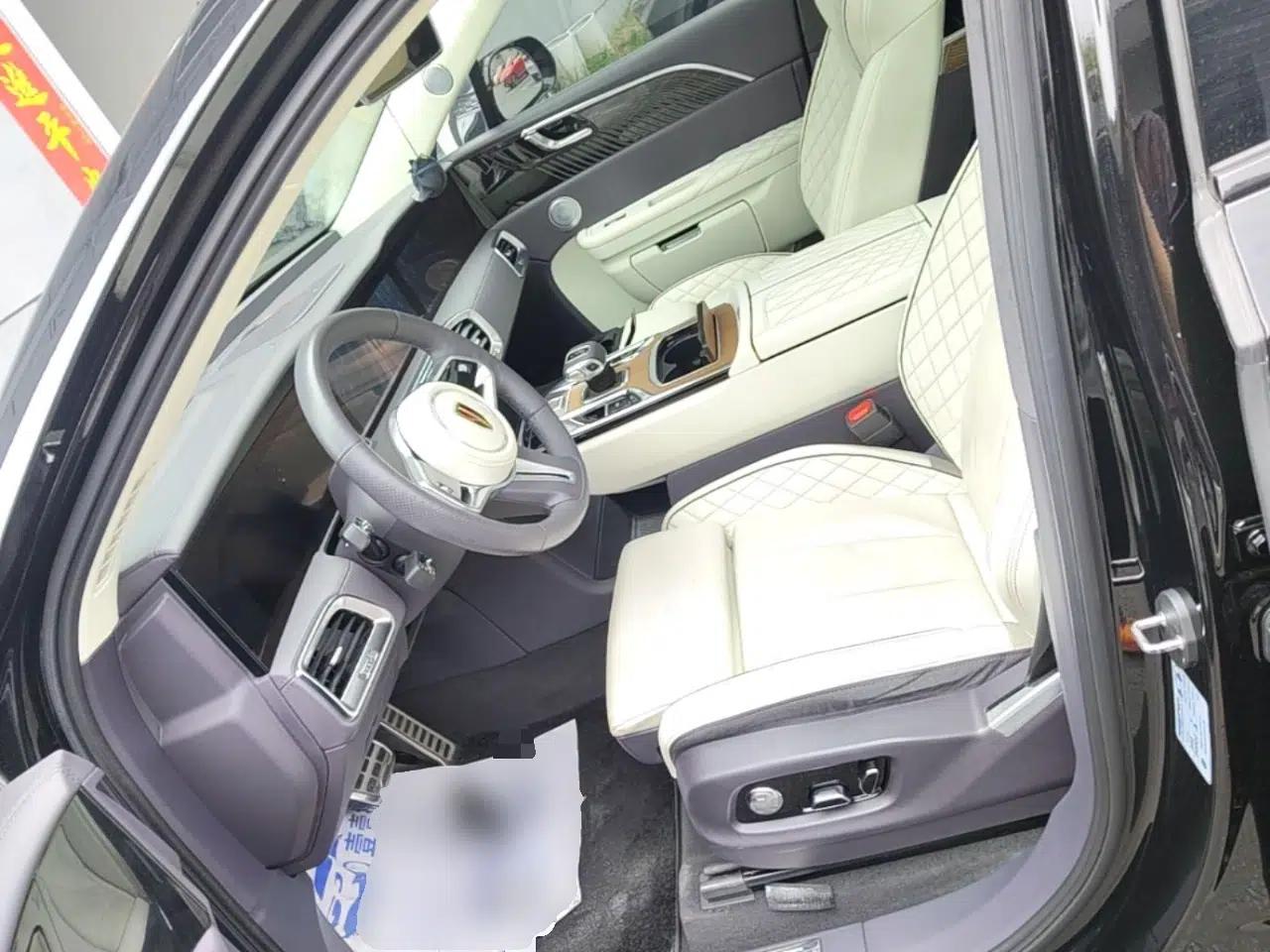 Hongqi E-HS9 2021 510 km Flagship Edition Four Seats — миниатюра 18