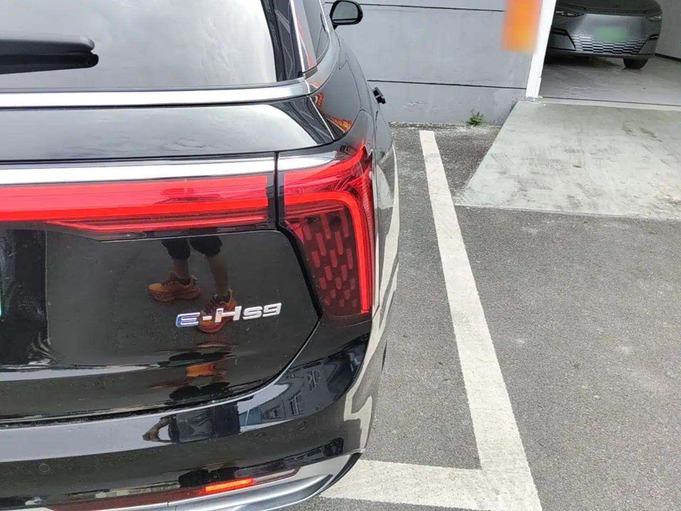 Hongqi E-HS9 2021 510 km Flagship Edition Four Seats — миниатюра 7