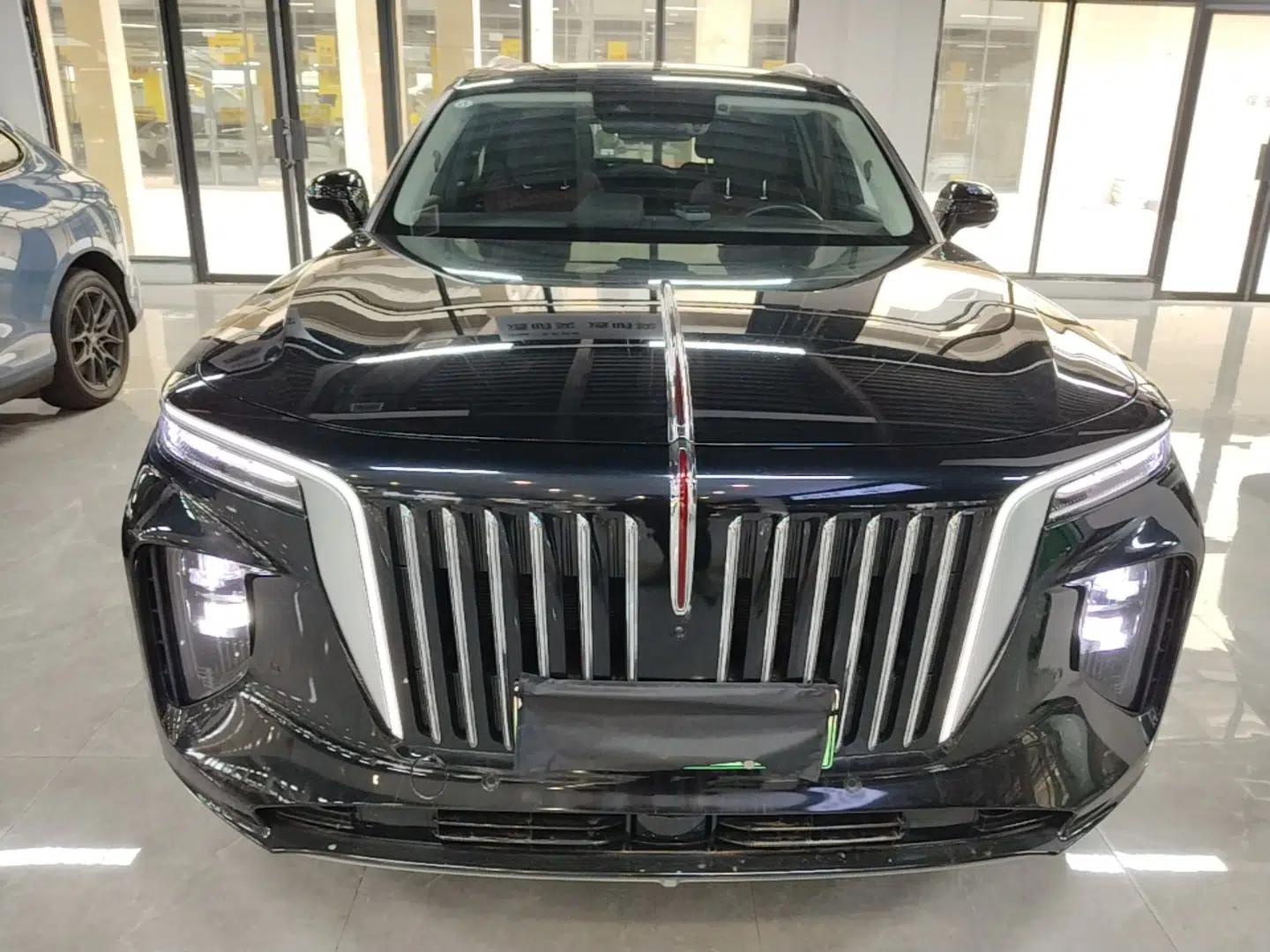 Hongqi E-HS9 2022 690 km Range Flagship Edition Six Seats — миниатюра 2