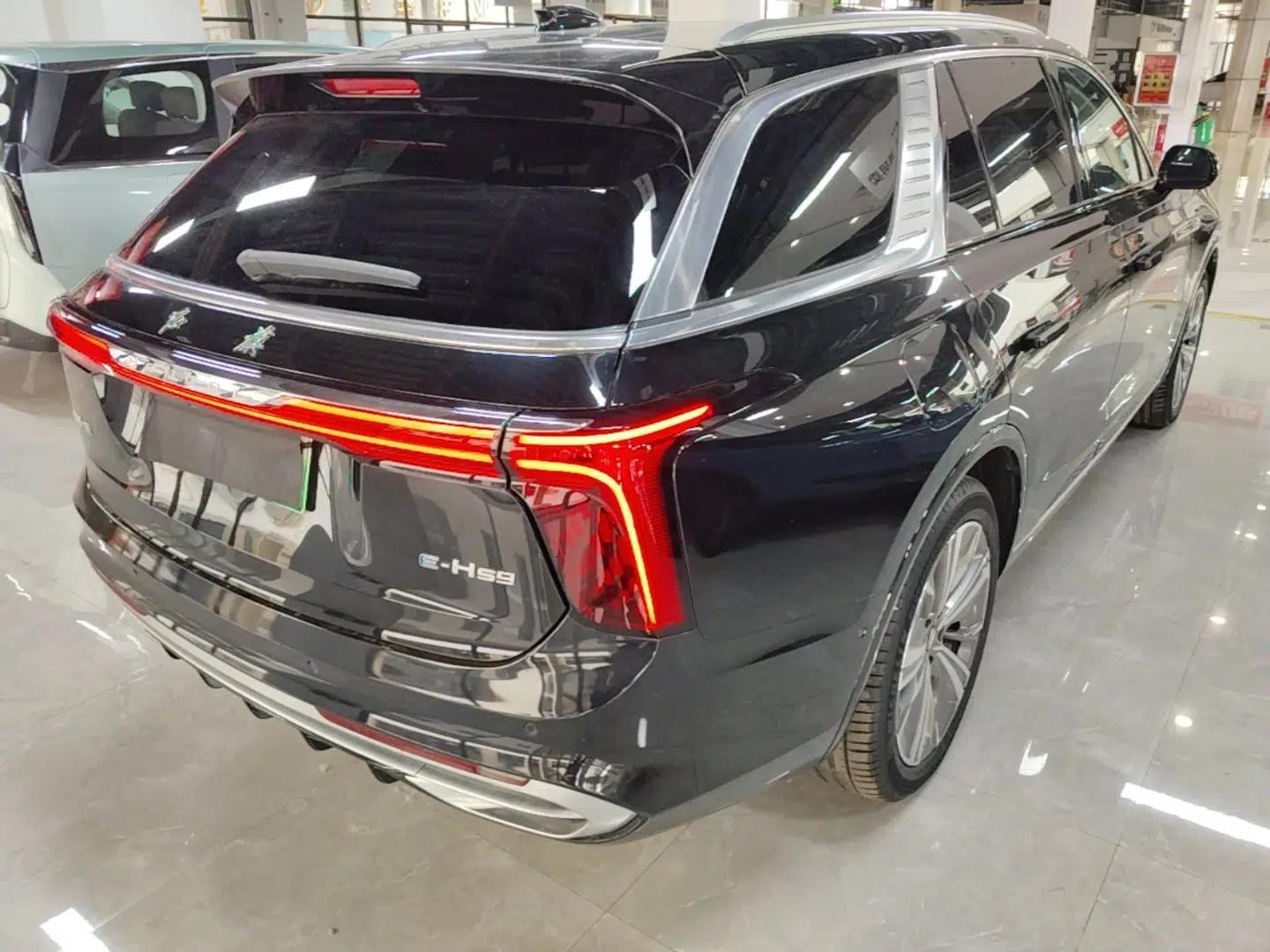 Hongqi E-HS9 2022 690 km Range Flagship Edition Six Seats — миниатюра 4