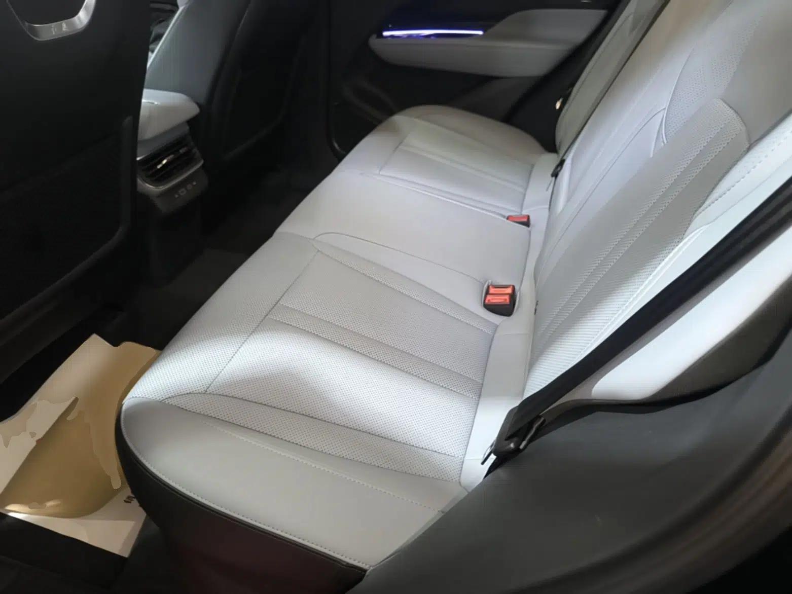 Hongqi HS3 PHEV 2024 PHEV 115km Jingwei Edition — миниатюра 20