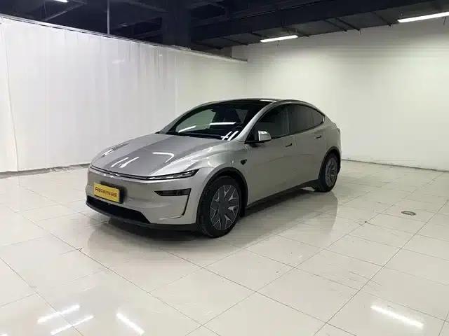 Model Y L 2025 Long Range All-Wheel Drive — миниатюра 1