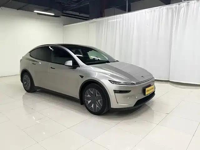 Model Y L 2025 Long Range All-Wheel Drive — миниатюра 3