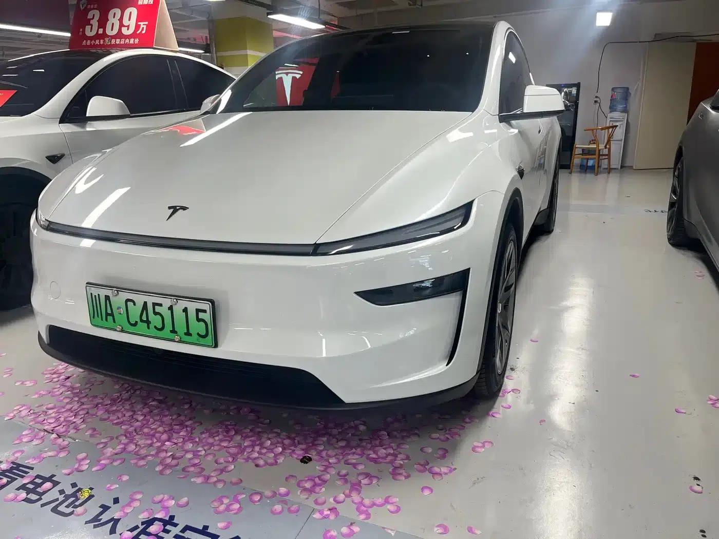 Model Y L 2025 Long Range All-Wheel Drive — миниатюра 1