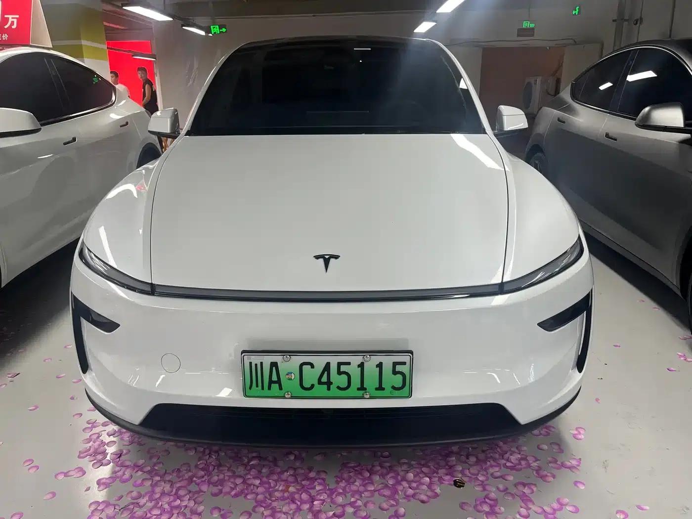 Model Y L 2025 Long Range All-Wheel Drive — миниатюра 2