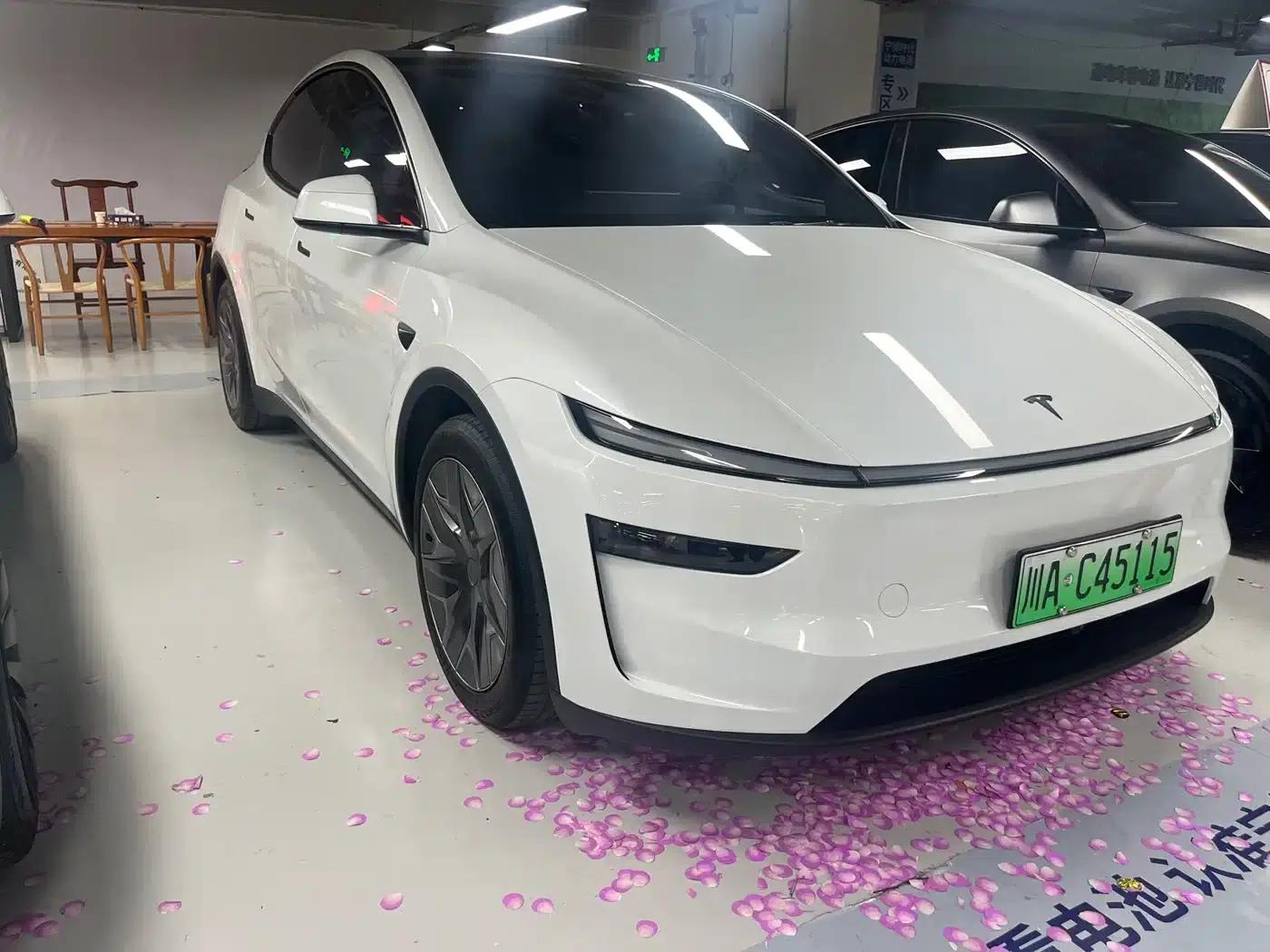 Model Y L 2025 Long Range All-Wheel Drive — миниатюра 3