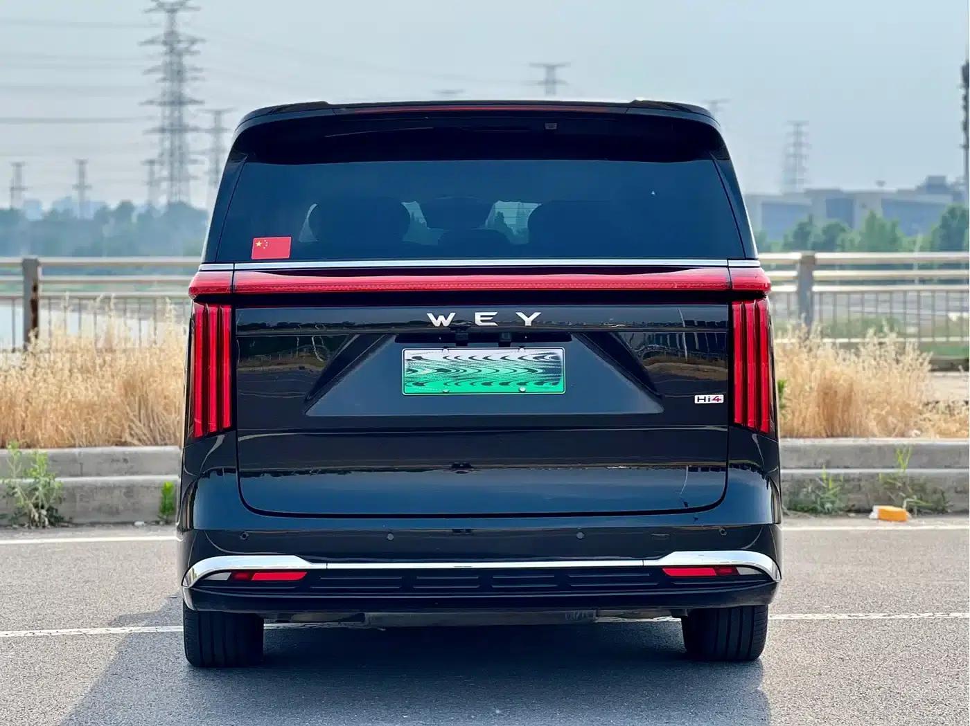 Weipai Gaoshan 2025 Model 4WD Gaoshan 8 — миниатюра 8