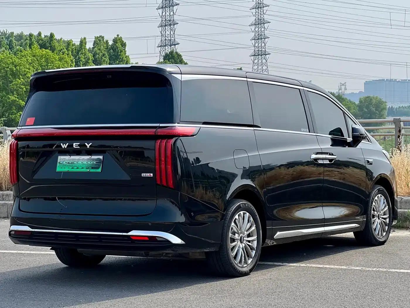 Weipai Gaoshan 2025 Model 4WD Gaoshan 8 — миниатюра 9