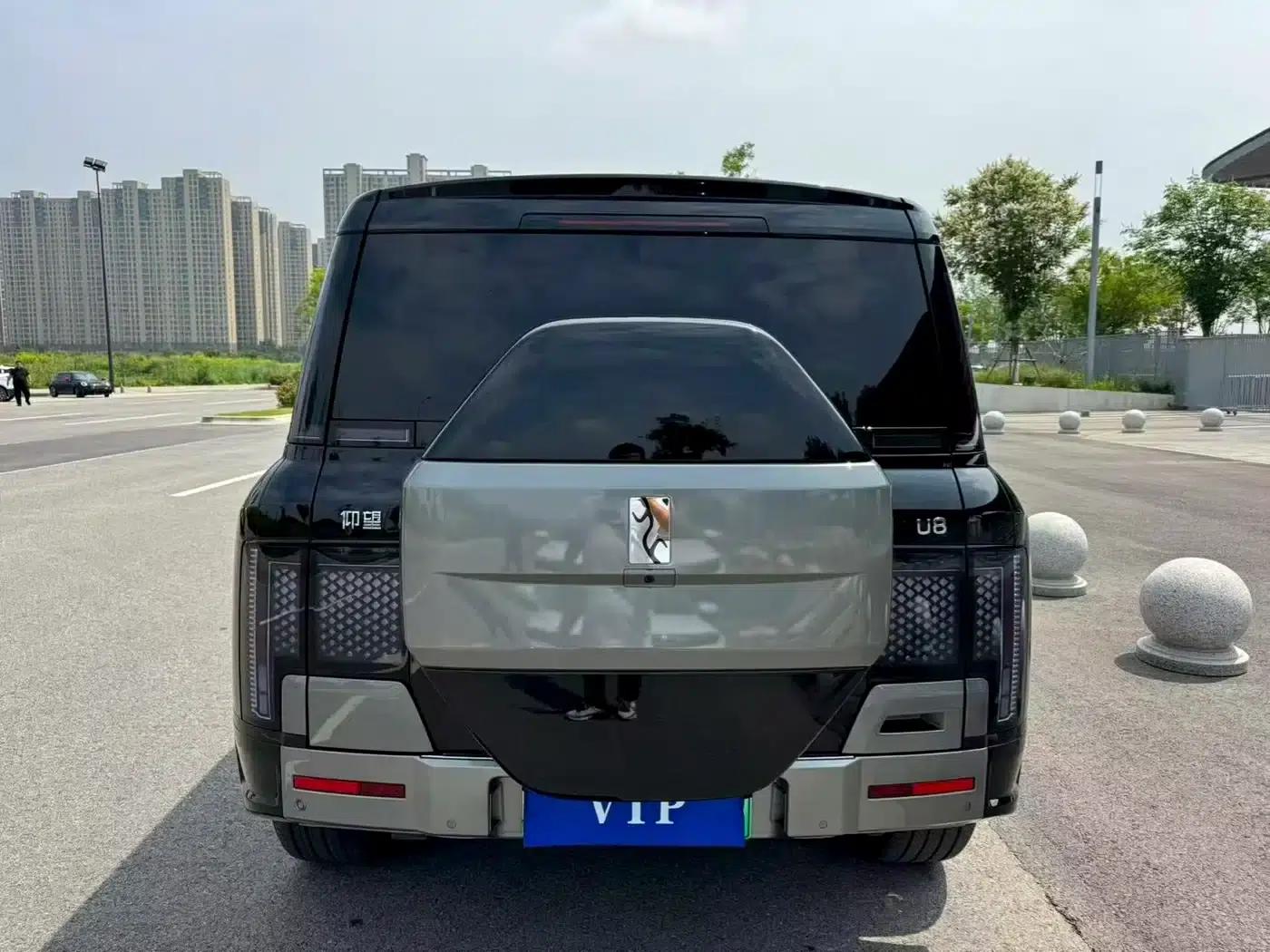 Looking up at the 2023 U8 Luxury Edition — миниатюра 8
