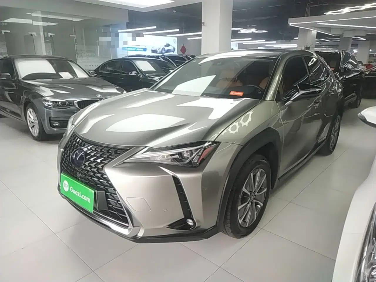 Lexus UX New Energy 2020 300e Pure·Joy Edition — миниатюра 1