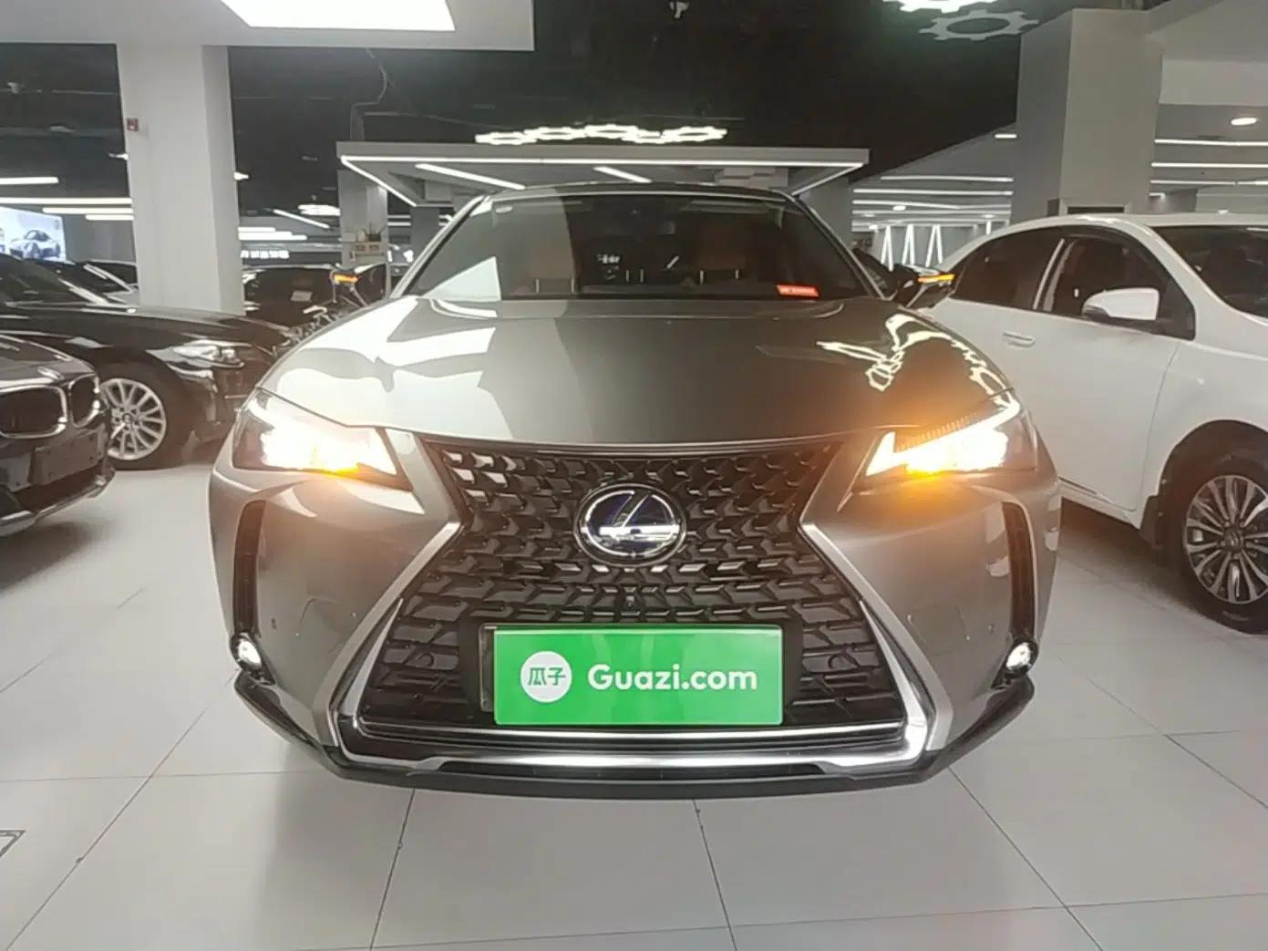 Lexus UX New Energy 2020 300e Pure·Joy Edition — миниатюра 2