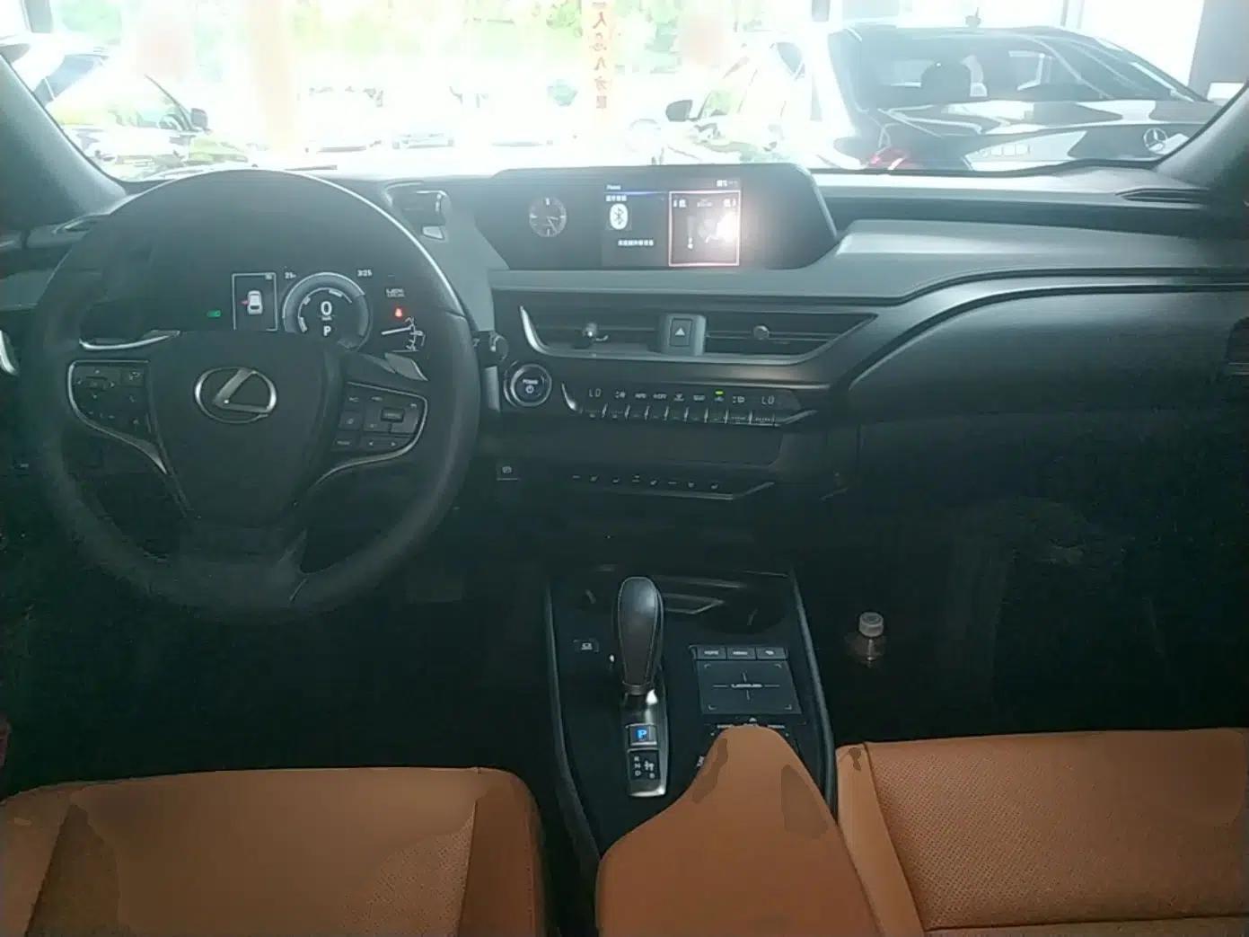 Lexus UX New Energy 2020 300e Pure·Joy Edition — миниатюра 13