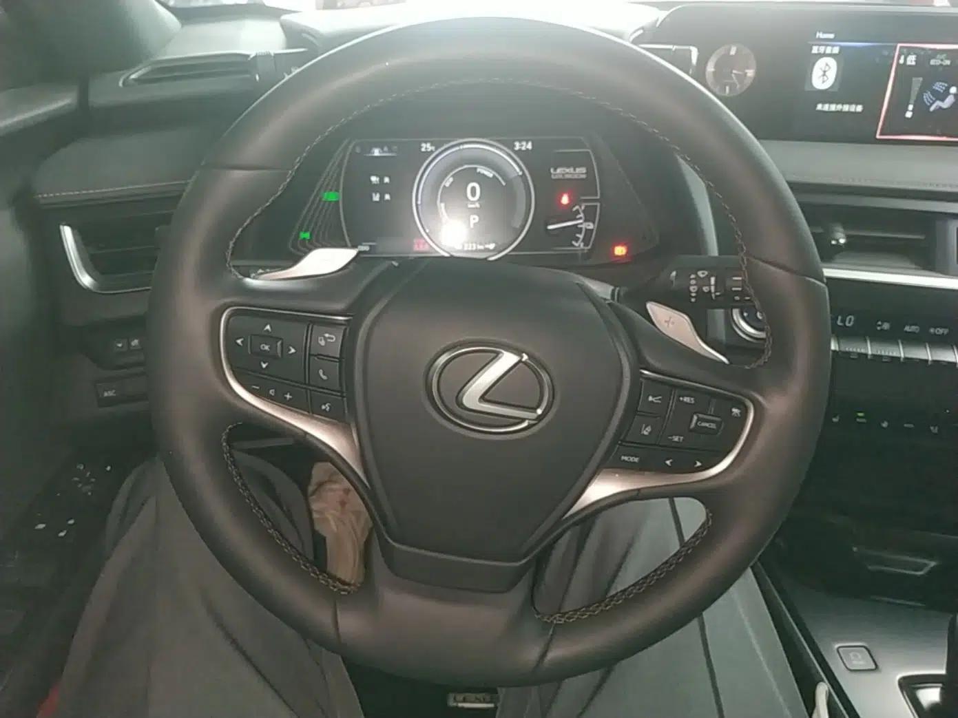 Lexus UX New Energy 2020 300e Pure·Joy Edition — миниатюра 14