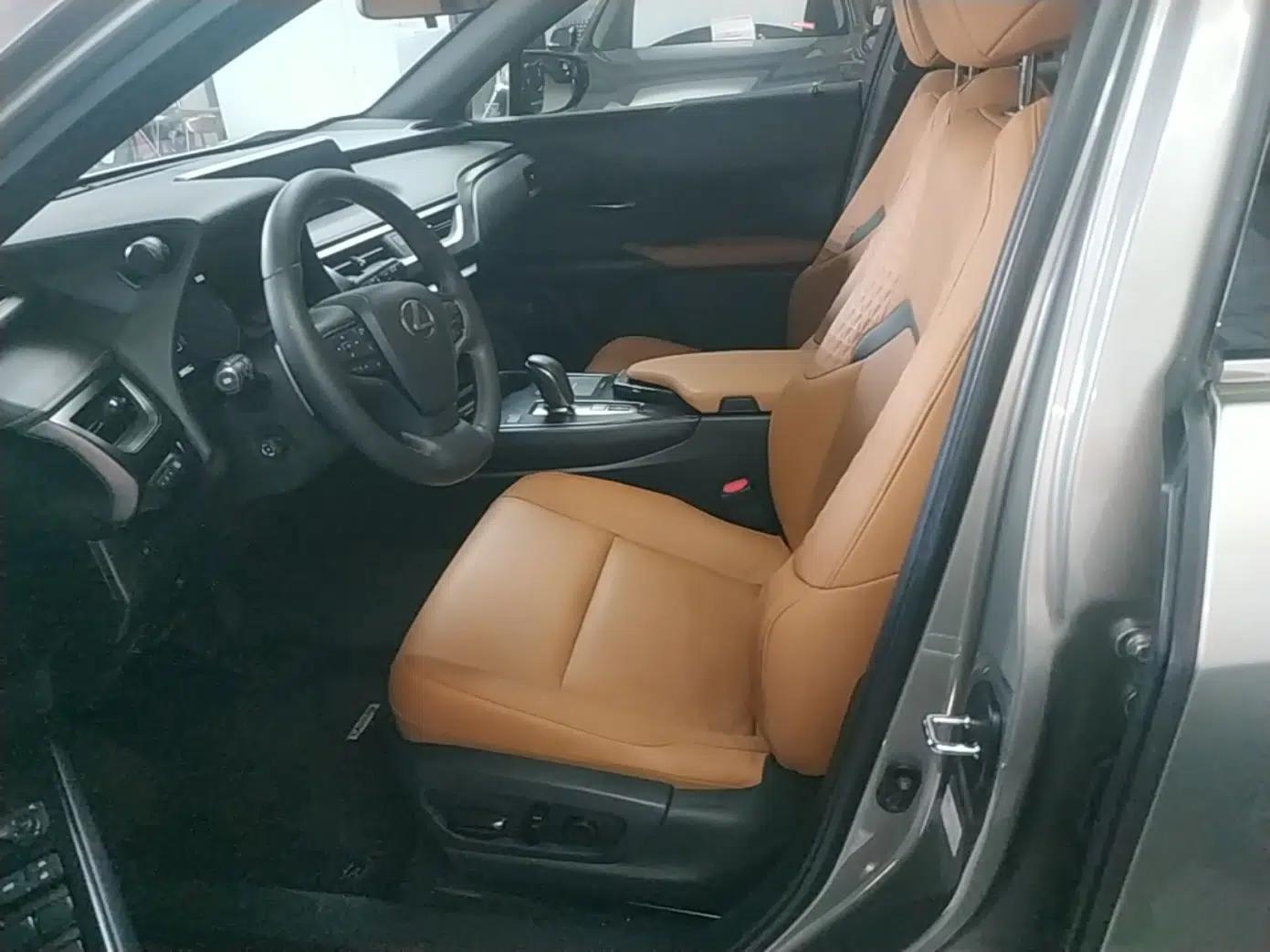 Lexus UX New Energy 2020 300e Pure·Joy Edition — миниатюра 18