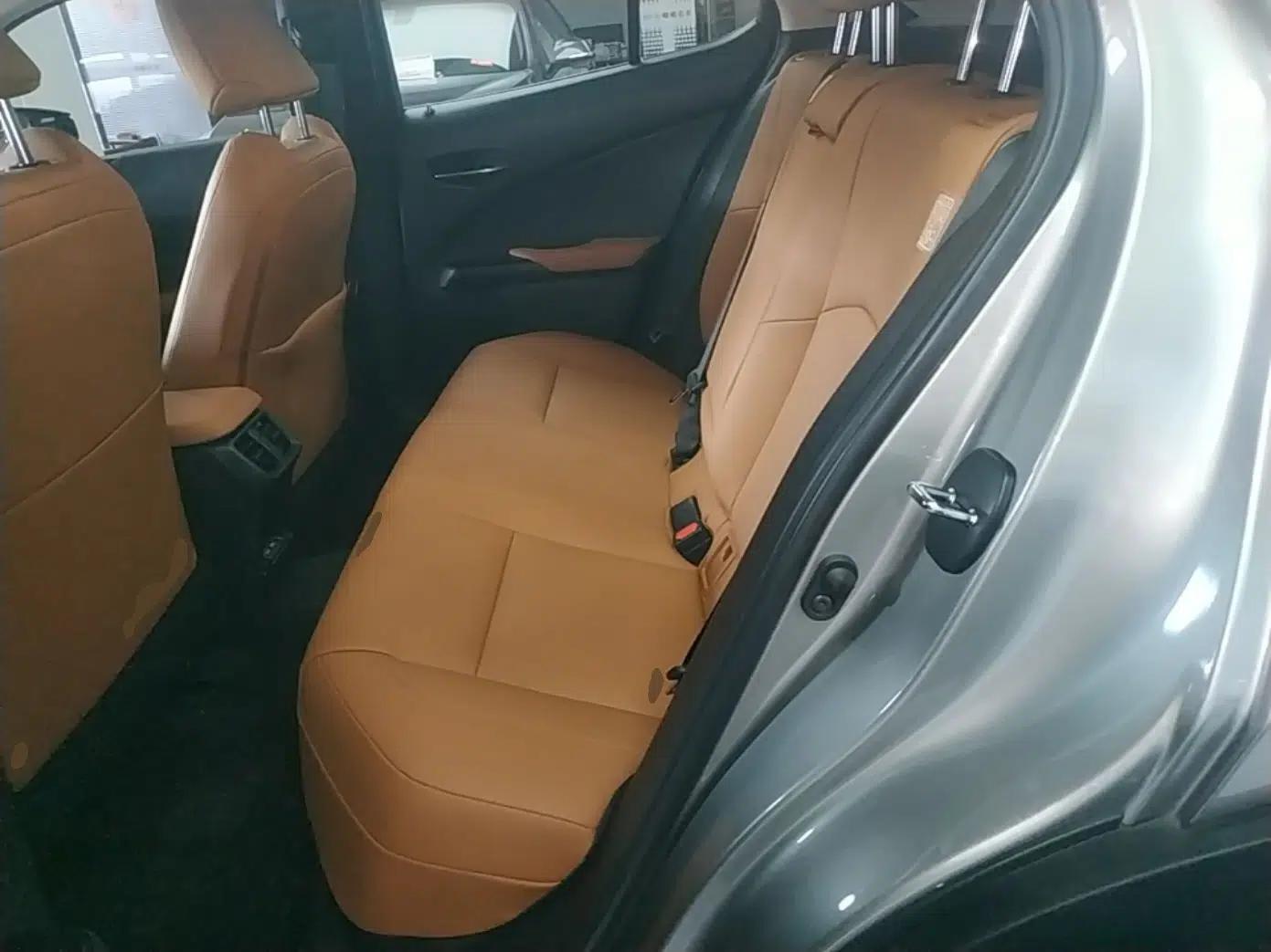 Lexus UX New Energy 2020 300e Pure·Joy Edition — миниатюра 20