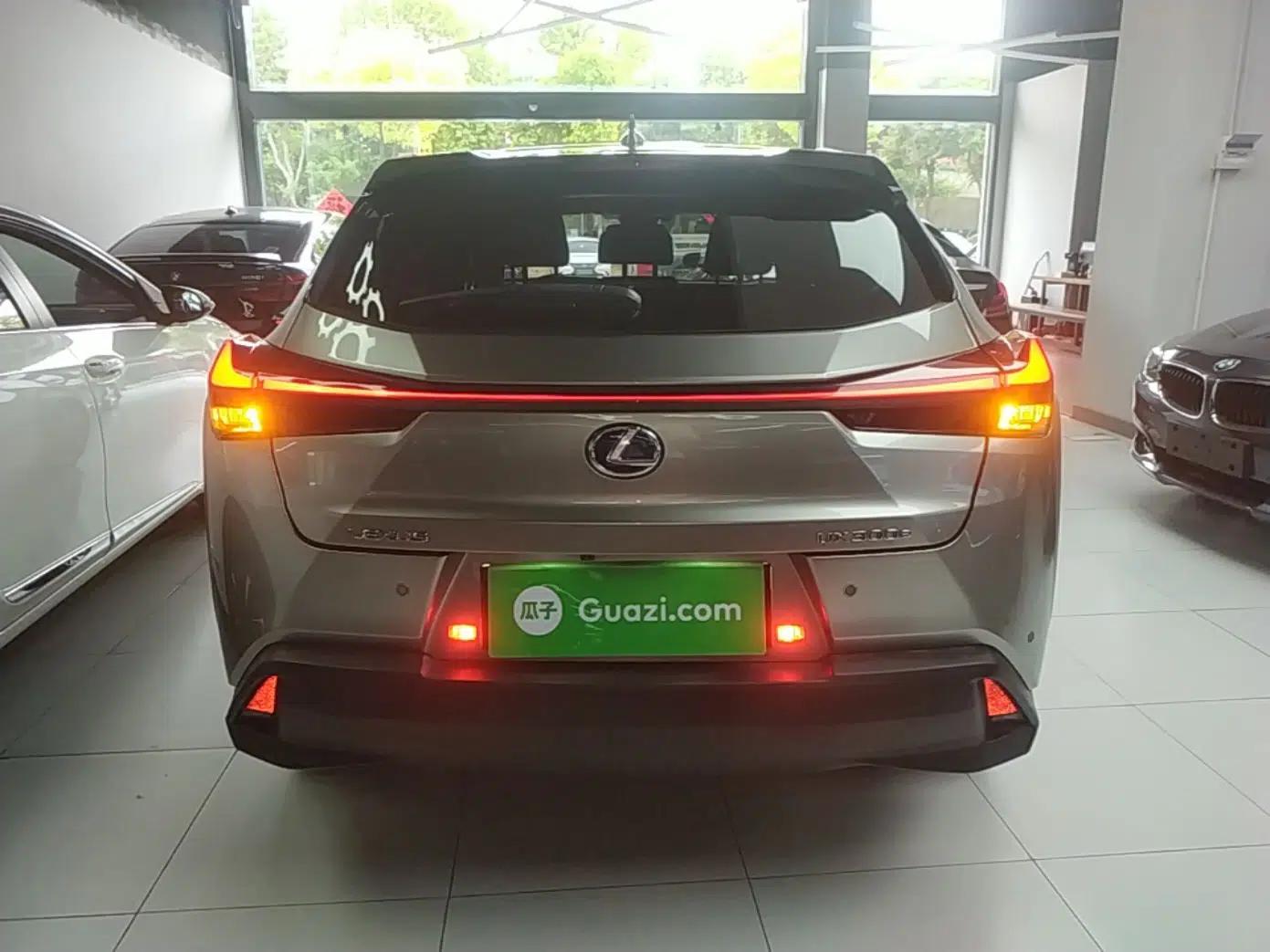 Lexus UX New Energy 2020 300e Pure·Joy Edition — миниатюра 5