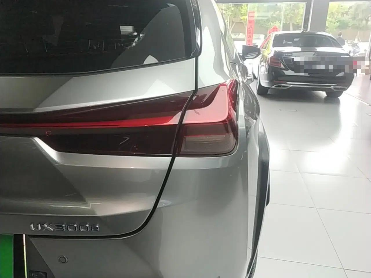 Lexus UX New Energy 2020 300e Pure·Joy Edition — миниатюра 7