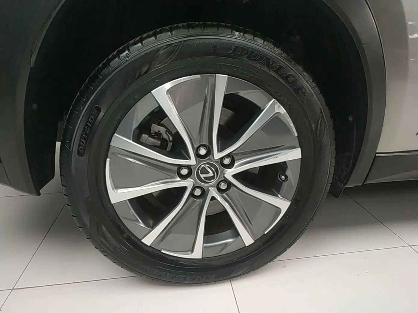 Lexus UX New Energy 2020 300e Pure·Joy Edition — миниатюра 10