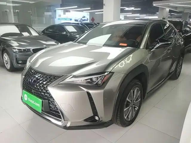 Lexus UX New Energy 2020 300e Pure·Joy Edition