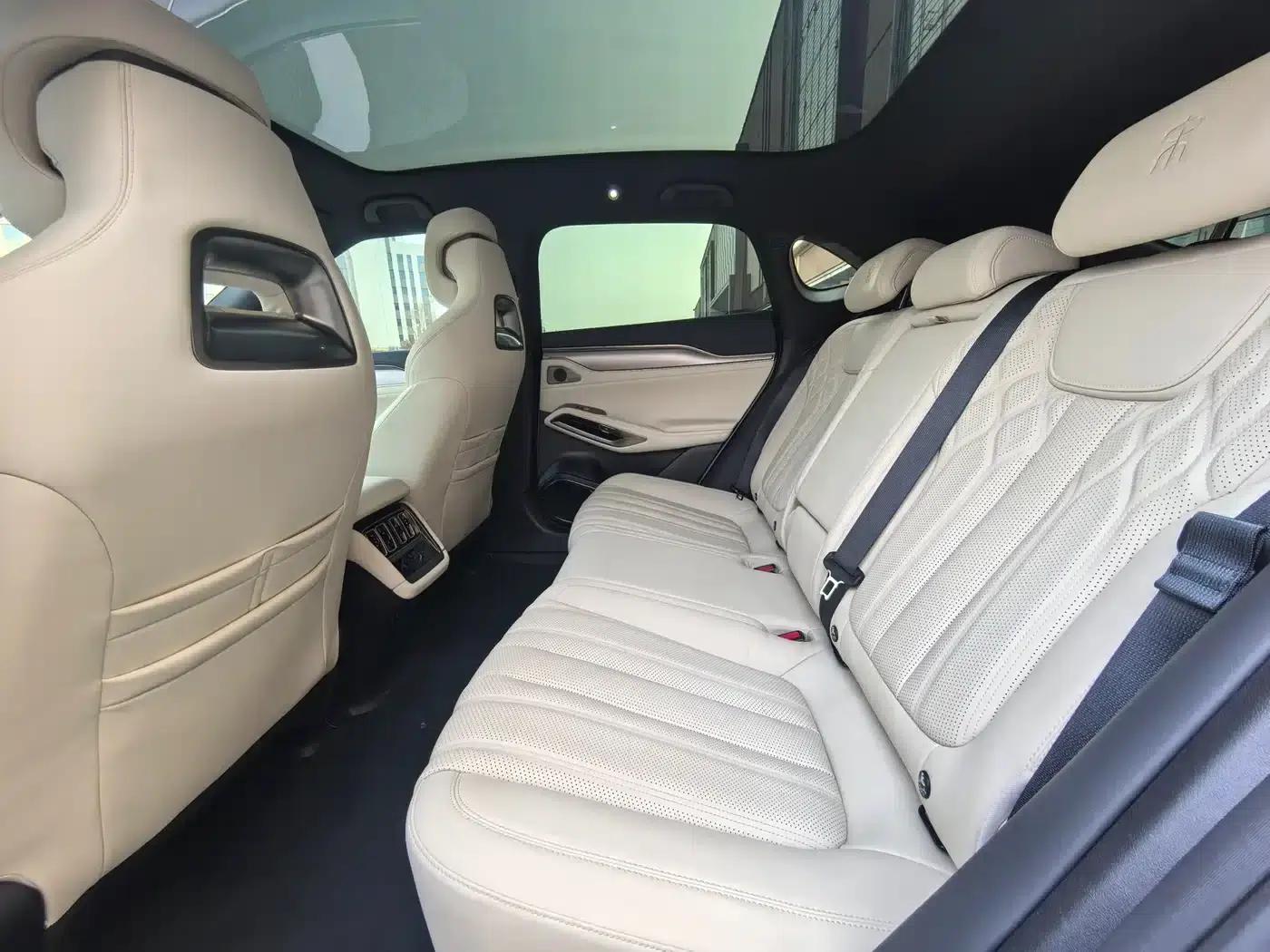 Song L EV 2024 550km Excellent Edition — миниатюра 9