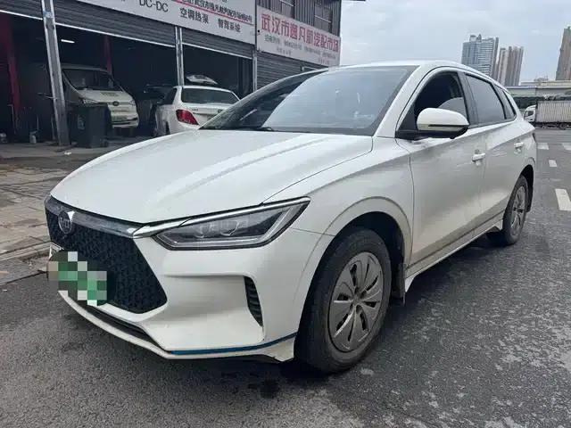 BYD e2 2019 Standard Range Edition, Yue Standard Model