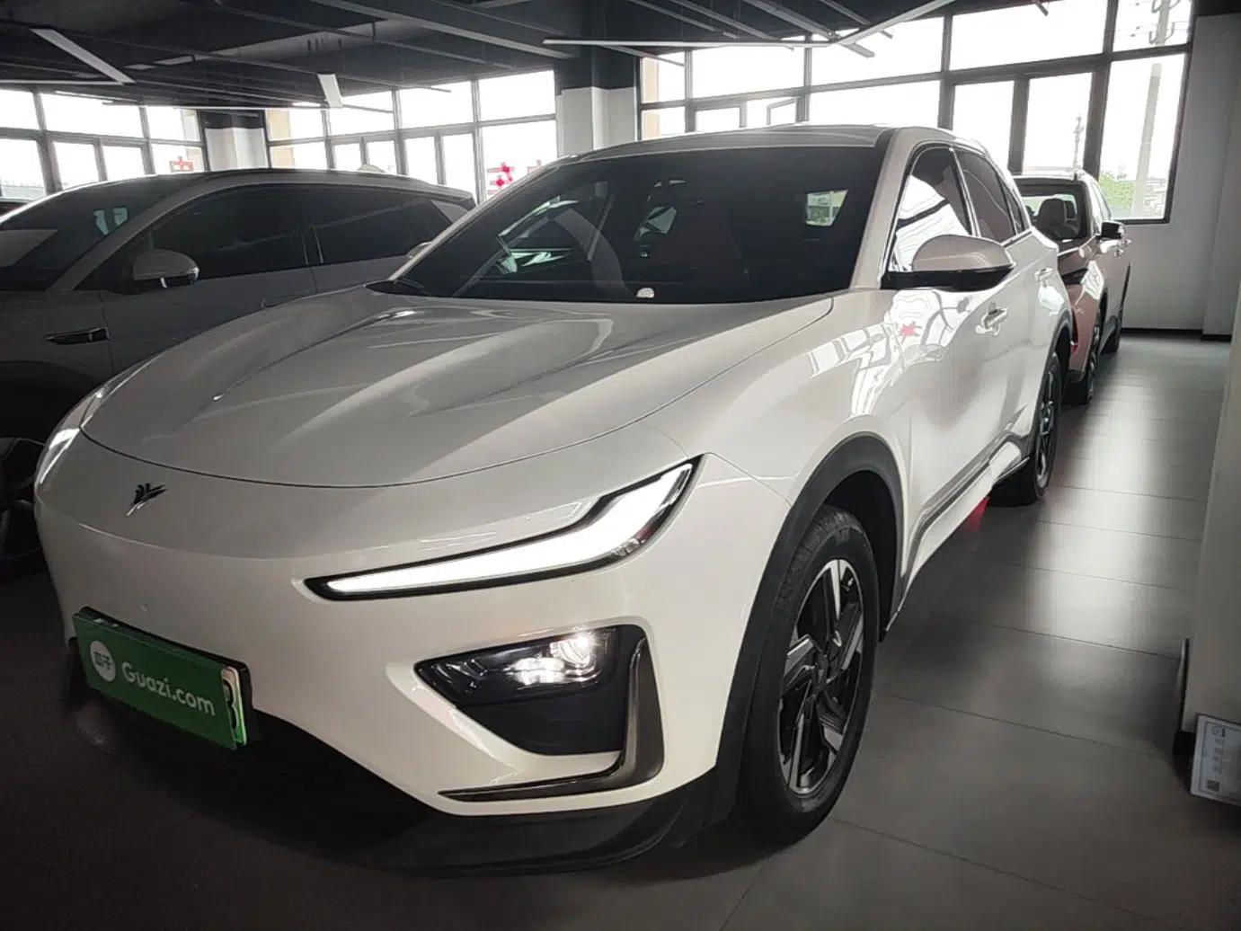 NETA X 2023 500 Lite — миниатюра 1