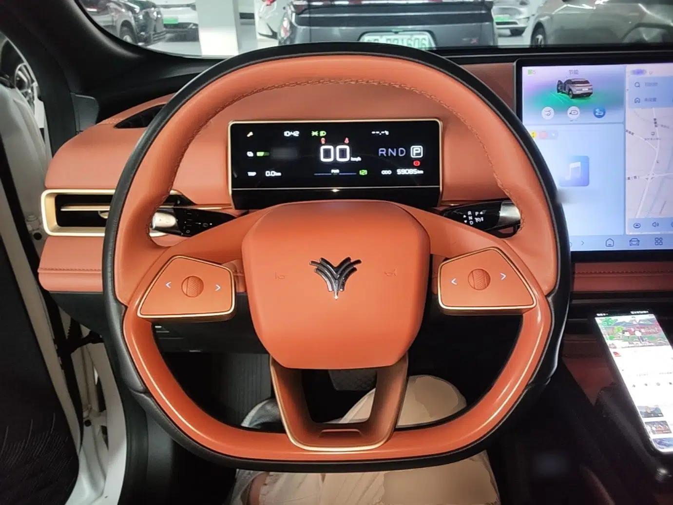 NETA X 2023 500 Lite — миниатюра 14