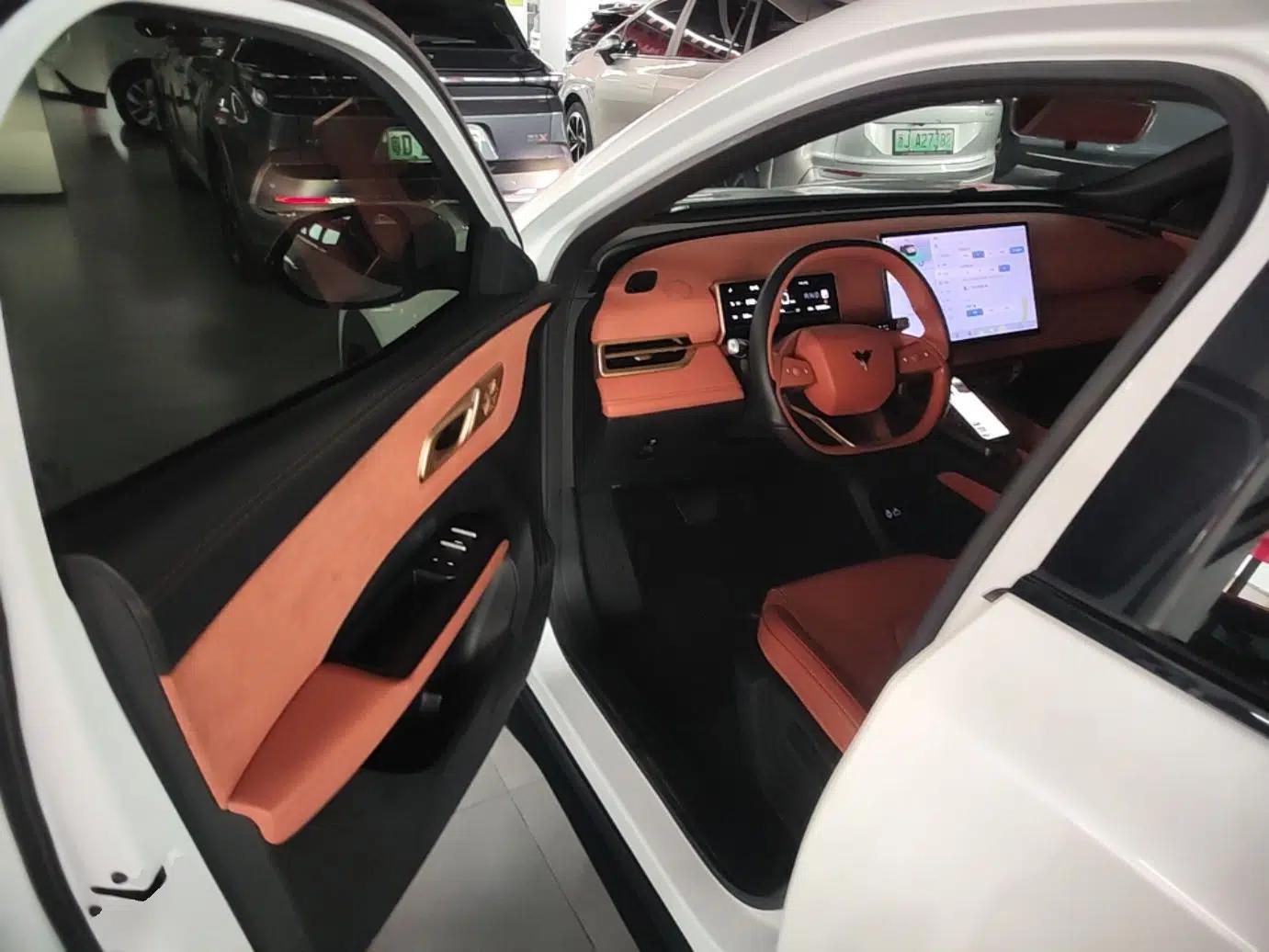 NETA X 2023 500 Lite — миниатюра 19