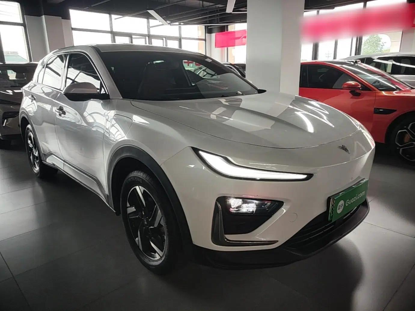 NETA X 2023 500 Lite — миниатюра 3