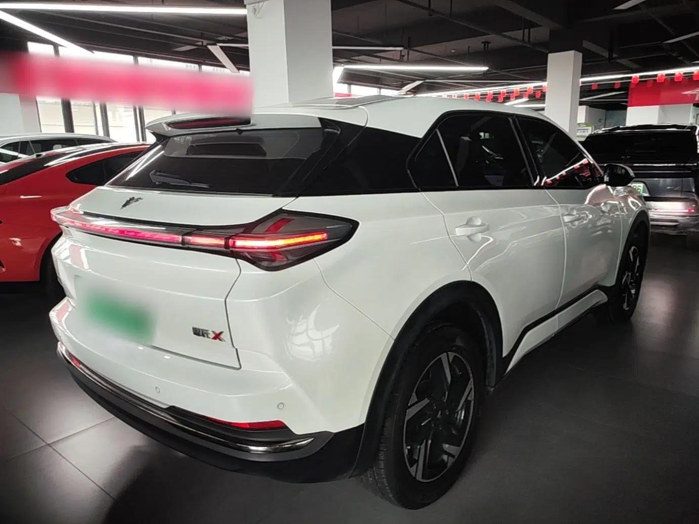 NETA X 2023 500 Lite — миниатюра 6