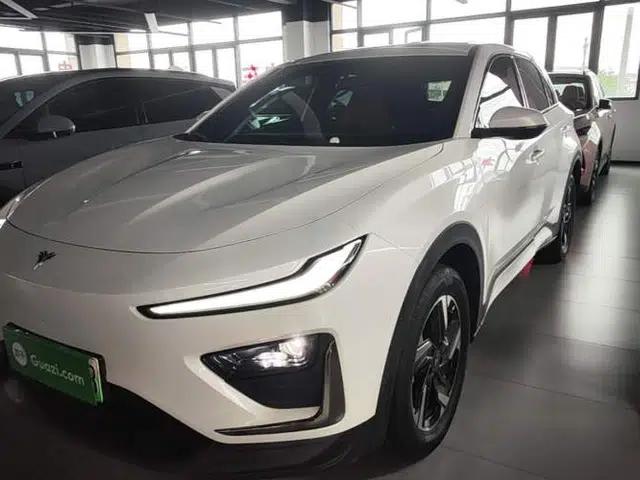 NETA X 2023 500 Lite