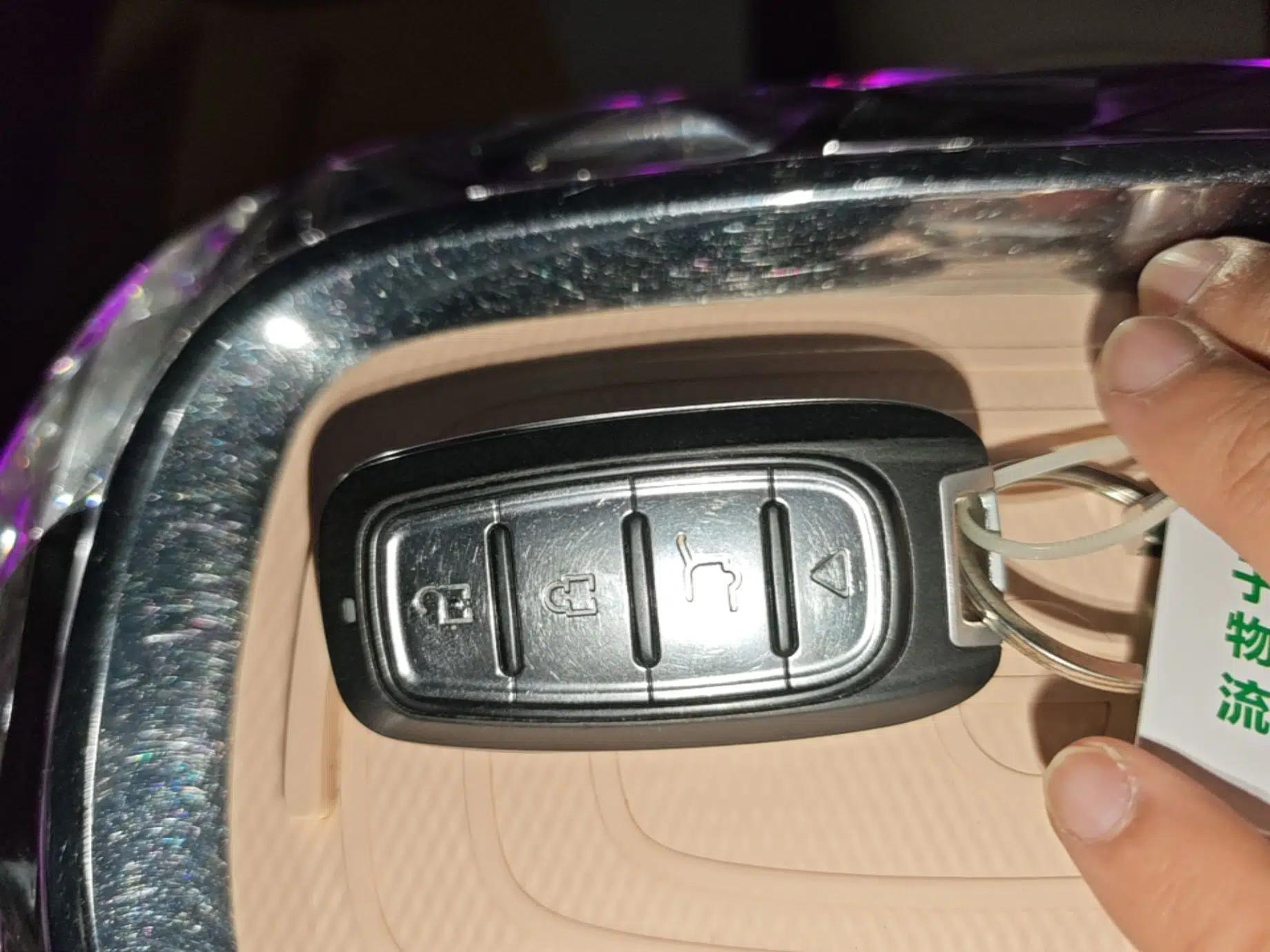ORA Ballet Cat 2022 500km Sleeping Beauty Edition — миниатюра 12