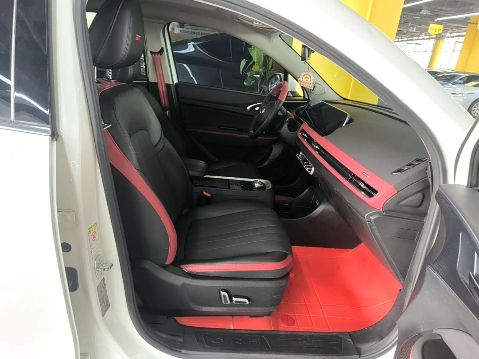 ORA Good Cat GT 2022 Mulan Edition 401 km Standard Range — миниатюра 23