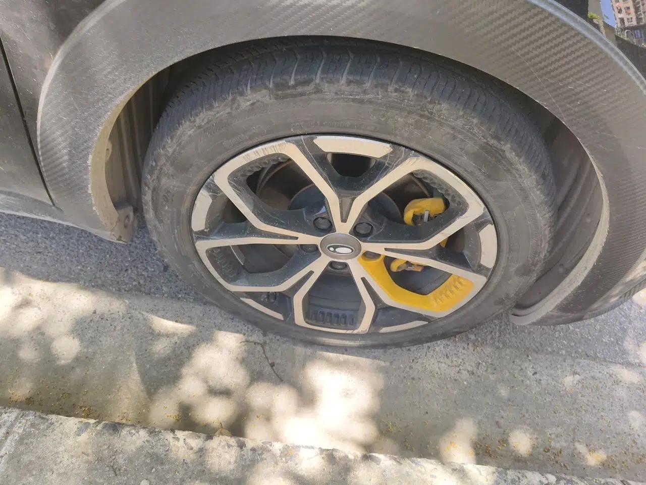 ORA Good Cat GT 2023 Mulan Edition 401km Prestige Version — миниатюра 8