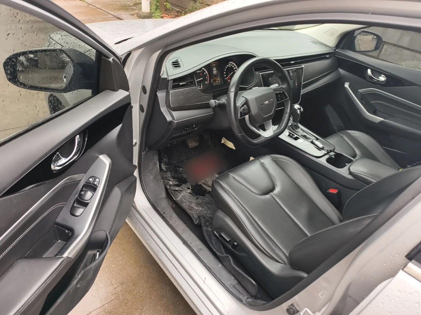 Venucia D60 2021 PLUS 1.6L XV CVT Smart Edition — миниатюра 19