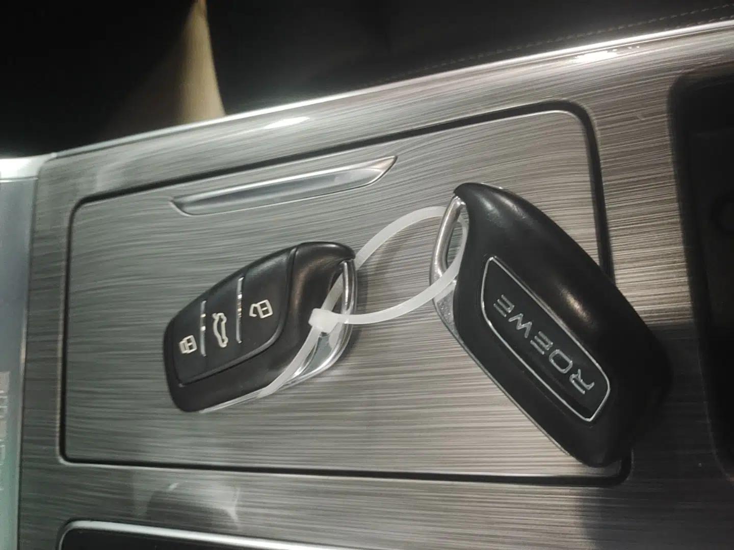 Roewe RX5 New Energy 2020 ePLUS National Trend Ronglin Flagship Edition — миниатюра 12