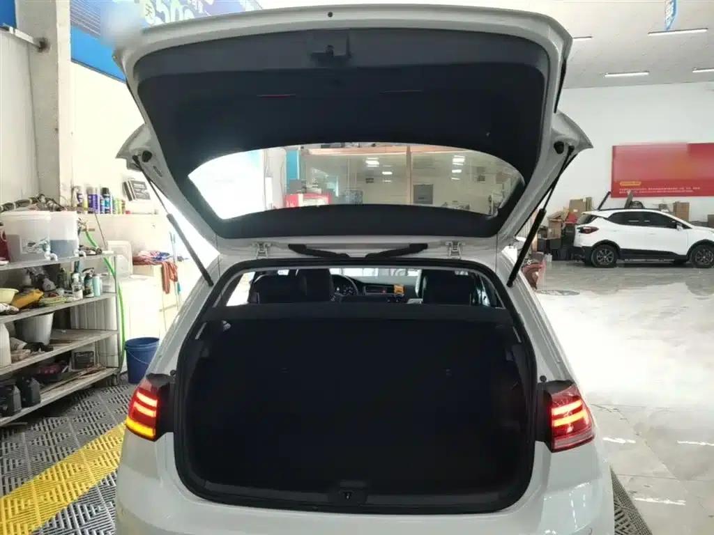 2020 Golf EV — миниатюра 19