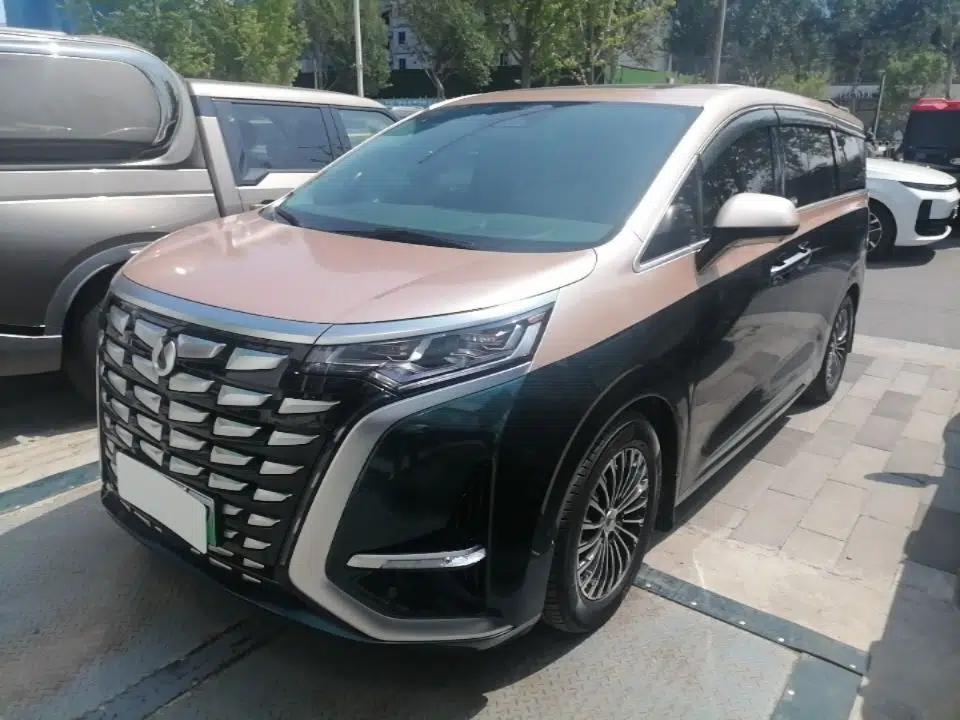 Denza D9 2022 DM-i 970 Four-Wheel Drive Flagship Model — миниатюра 1